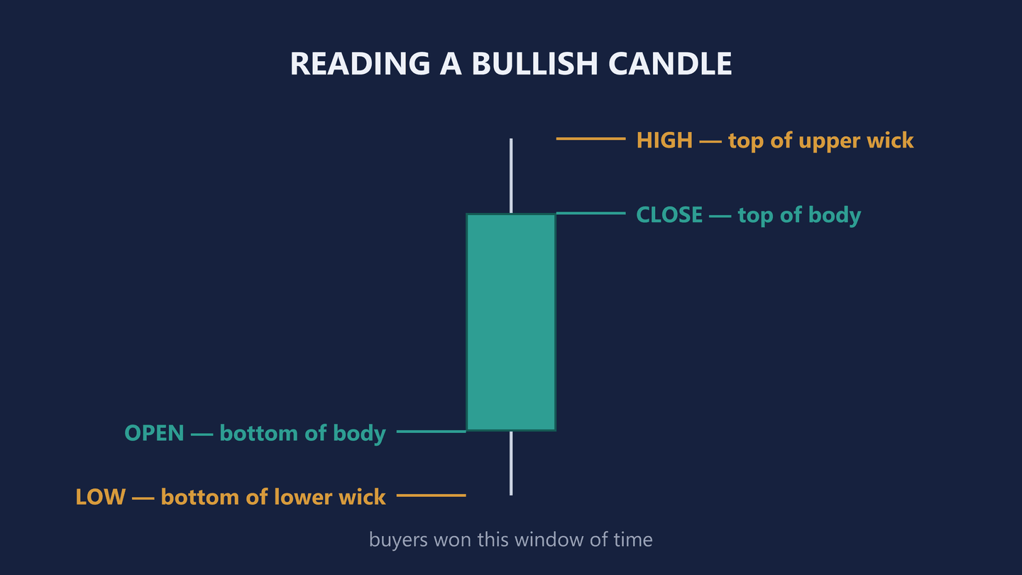 Diagram headed Reading a bullish candle. One tall teal candle with leader lines to four labels: HIGH at the top of the upper wick, CLOSE at the top of the body, OPEN at the bottom of the body, LOW at the bottom of the lower wick. A caption underneath reads buyers won this window of time.