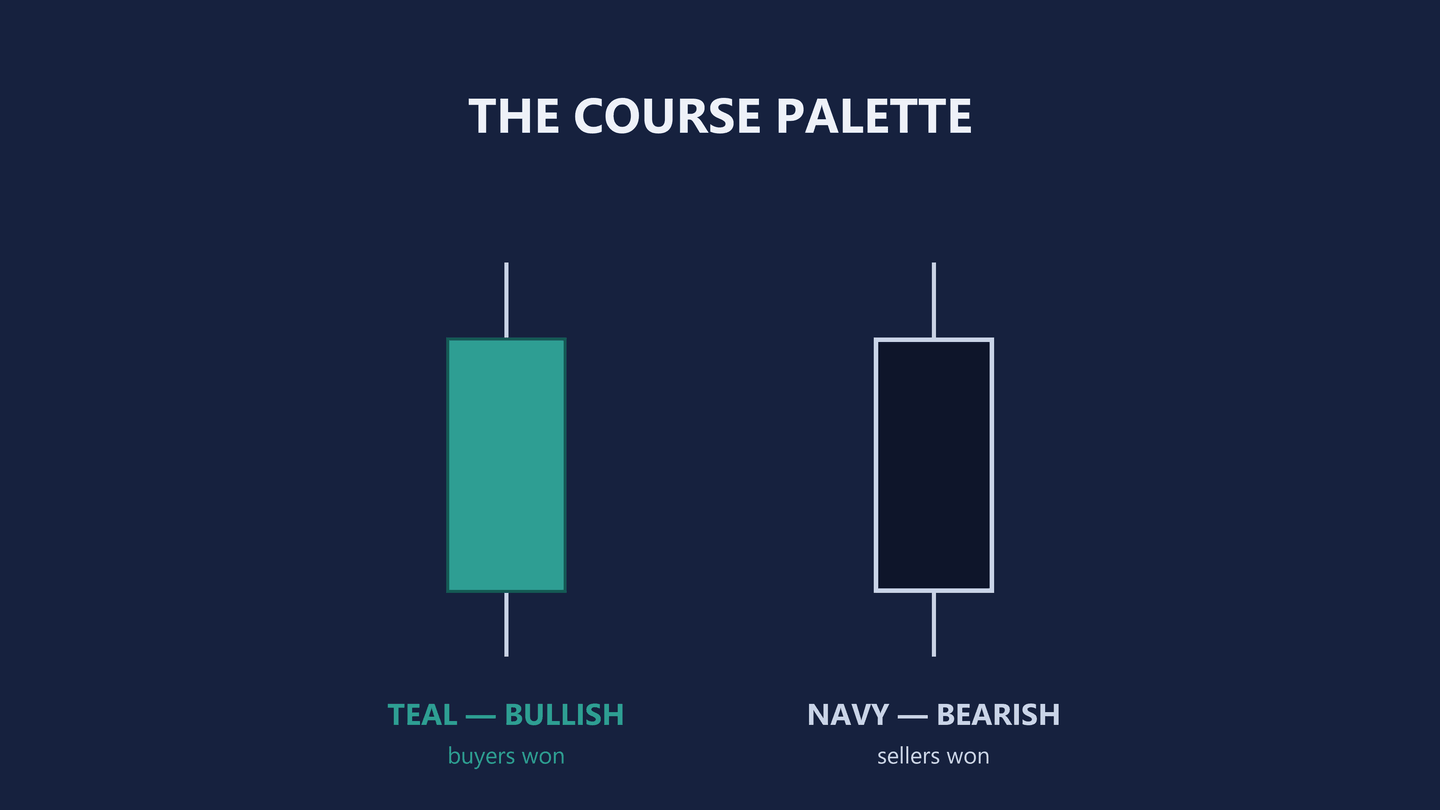 Diagram headed The course palette. Two candles of identical size side by side. The left one is filled teal and labelled TEAL, bullish, buyers won. The right one is dark navy with a pale outline and labelled NAVY, bearish, sellers won.