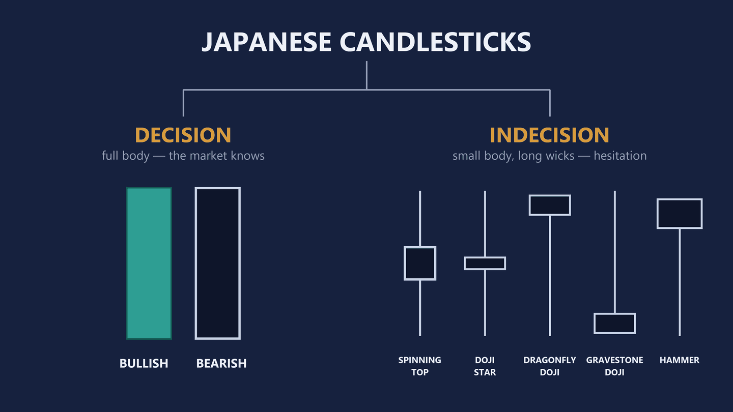 Tree diagram headed Japanese candlesticks, splitting into two branches. The left branch, DECISION, full body, the market knows, holds two tall full-bodied candles labelled bullish and bearish. The right branch, INDECISION, small body long wicks, hesitation, holds five small-bodied shapes labelled spinning top, doji star, dragonfly doji, gravestone doji and hammer.